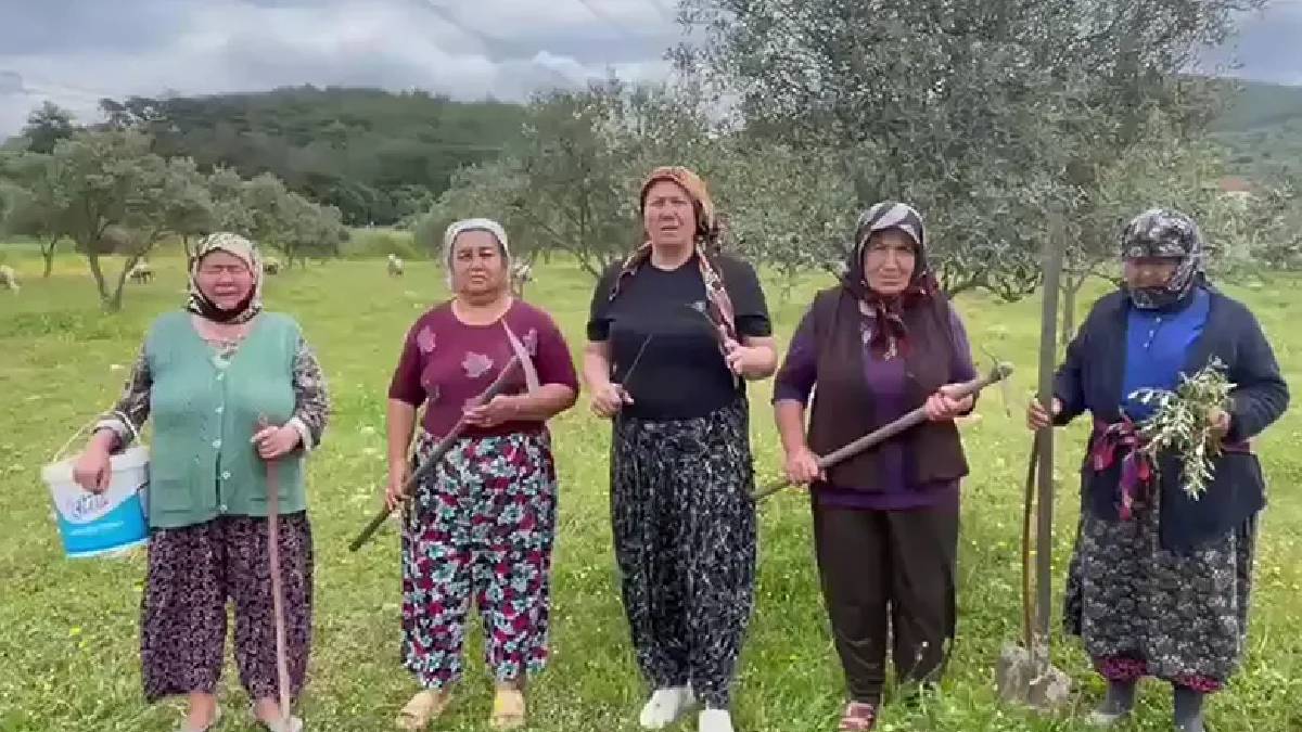 Akbelen’de direniş sonuç verdi: Kamulaştırma kararı askıya alındı