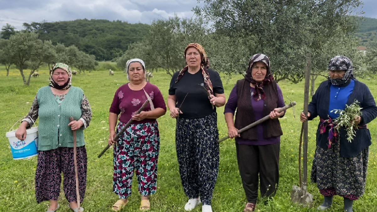 Akbelen’de direniş sonuç verdi: Kamulaştırma kararı askıya alındı