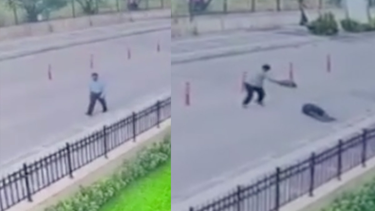 Yalova Adliyesi önünde kanlı infaz: Tanık olarak geldiği davada öldürüldü