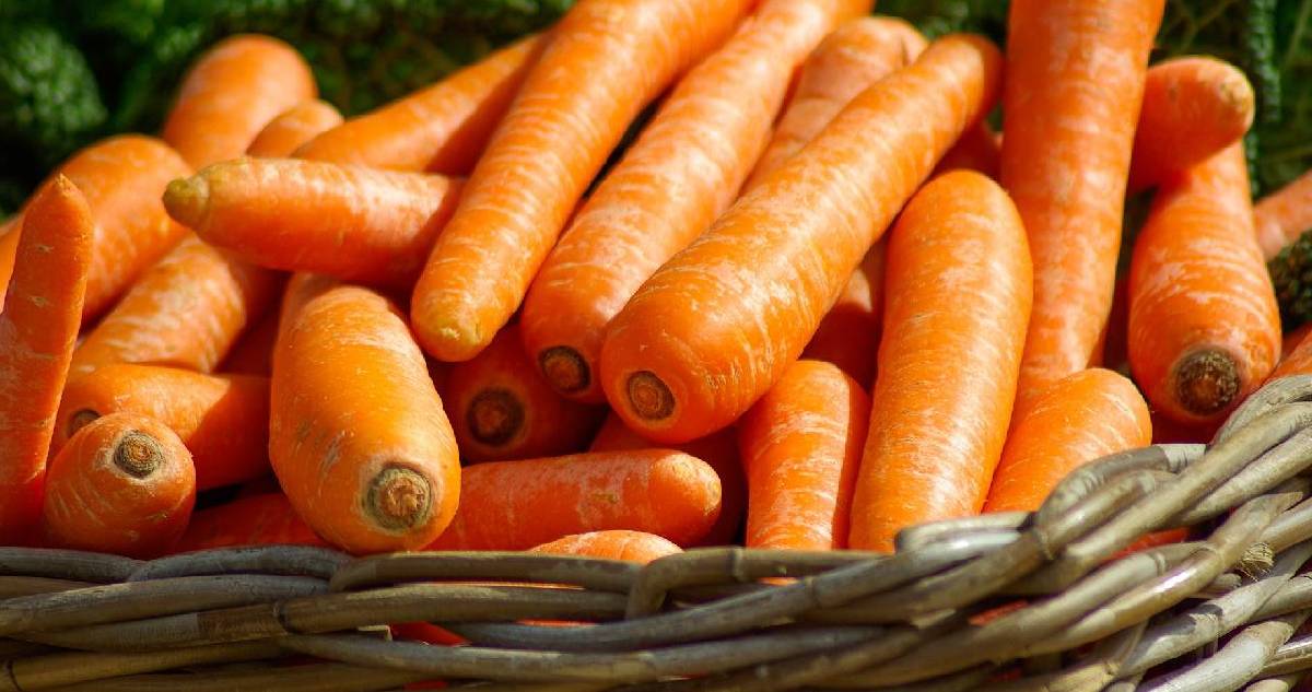 Havuçları sebzeliğe koymadan önce düşünün! 10 gün boyunca tazecik tüketebilirsiniz: Bu yöntemi deneyin