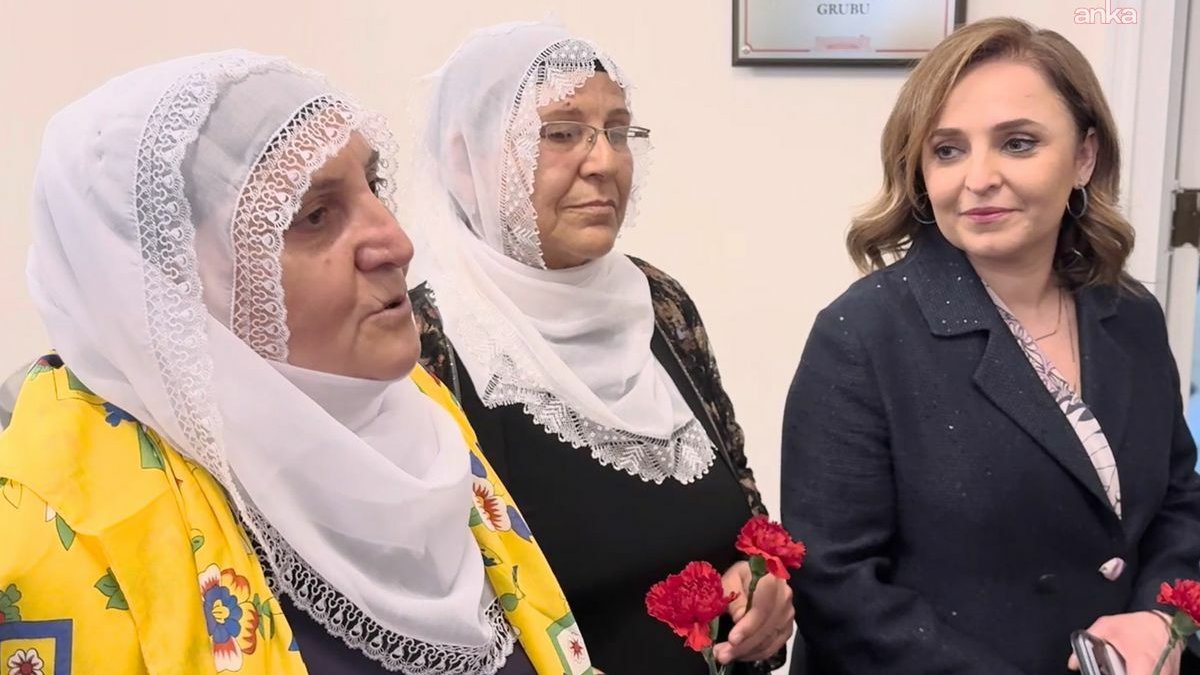 Barış Anneleri, Öcalan ile görüşmek için adalet bakanlığı’na başvuracak