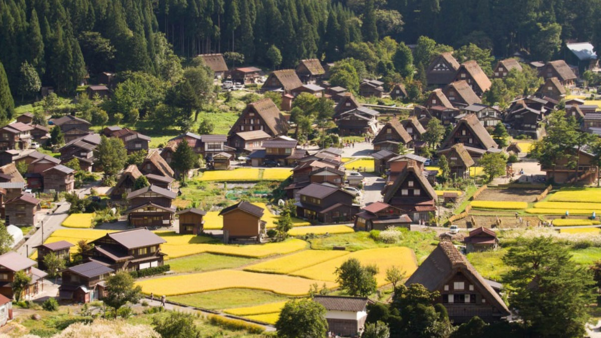 Japonya’da 'Küçük Fatsa': Türkiye'den Nagoya’ya uzanan 36 yıllık göç hikâyesi