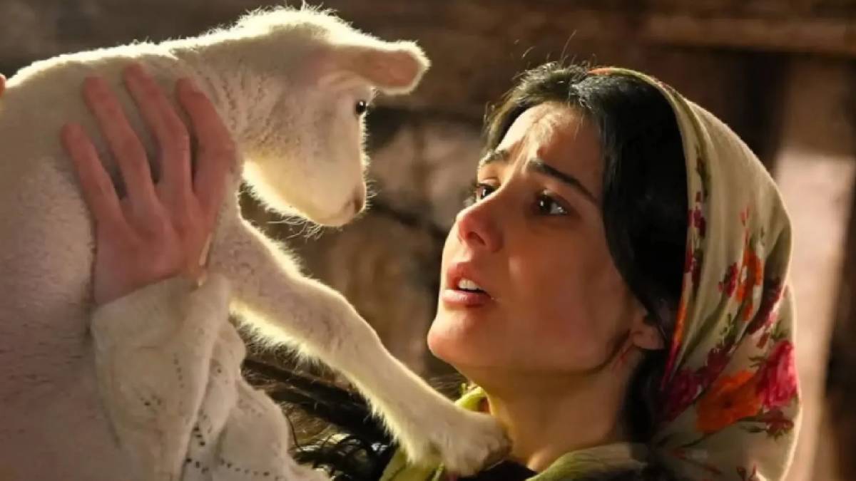 Aslıhan Gürbüz’den kuzu sahnelerine tepki: Bu vicdanın kaynağını merak ediyorum