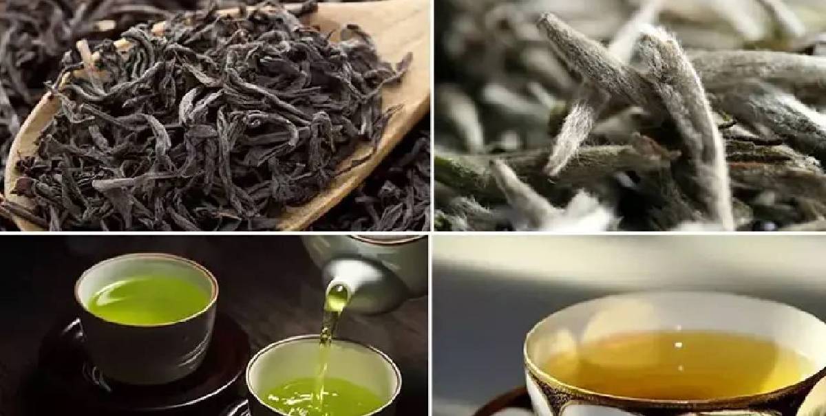 En sağlıklı çay hangisi? Çay nasıl tüketilmeli? İşte çay tüketiminde dikkat edilmesi gereken altın kurallar…