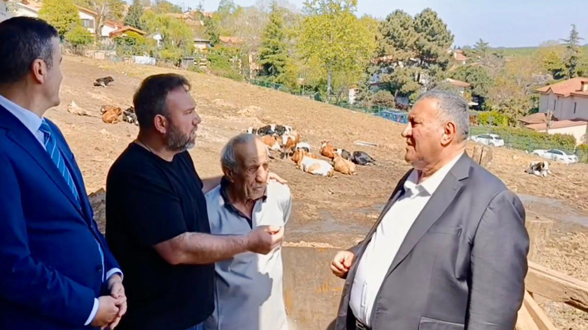 İstanbul'da hayvancılık can çekişiyor: 30 yıllık üreticiden "1-2 seneye işi bırakırım" resti