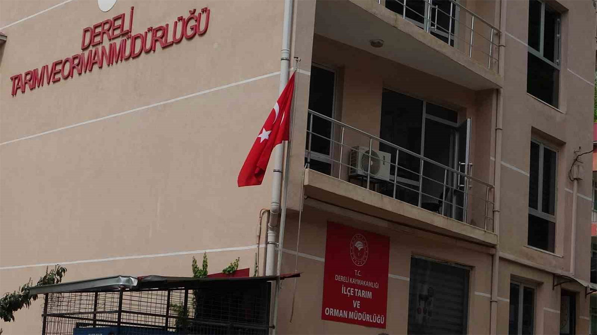 Tarım ve Orman Müdürlüğünde 600 milyon liralık vurgun! Müdür kayıp, kayıtlar eksik, projeler hayali...