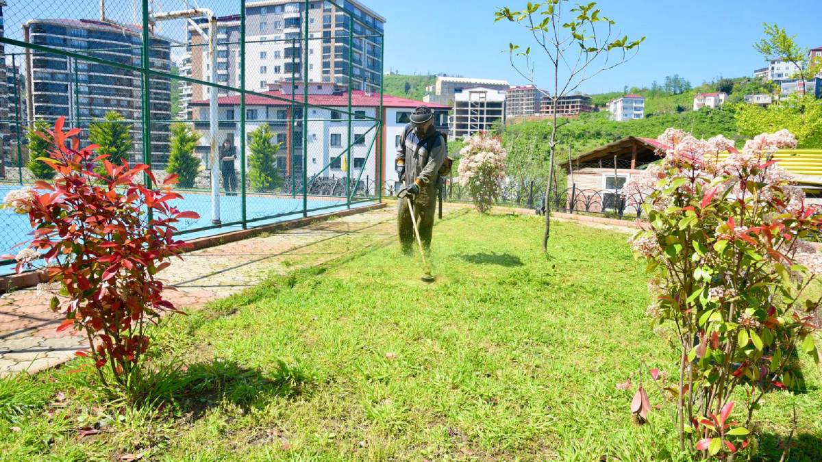 Giresun Belediyesi yaz mesaisine hız verdi