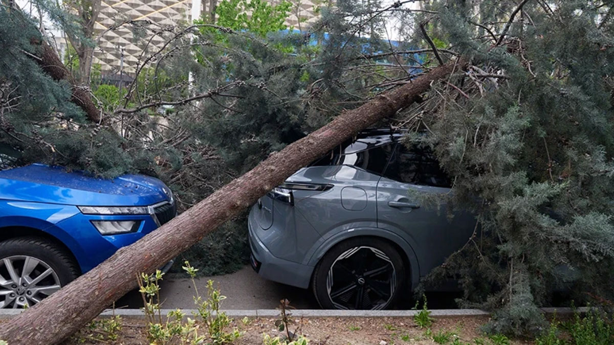 Başkentte rüzgar kaosu! Araçlar devrilen ağaçların altında kaldı