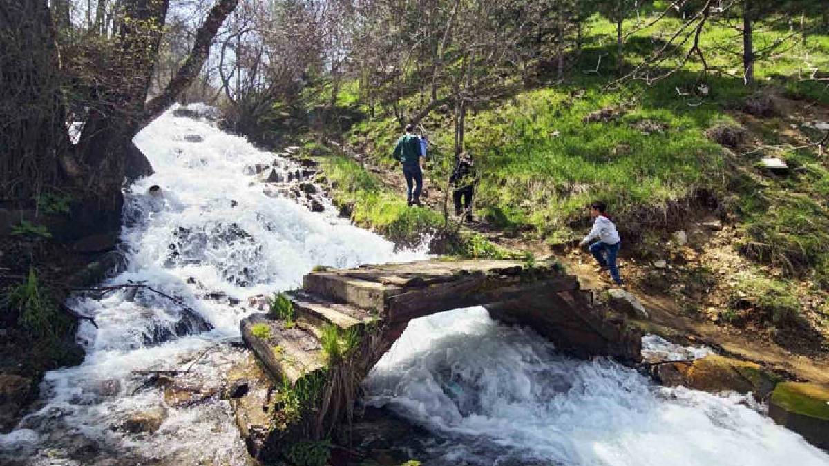 Kar suları eriyince coştu! Beyazsu Şelalesi göz kamaştırdı