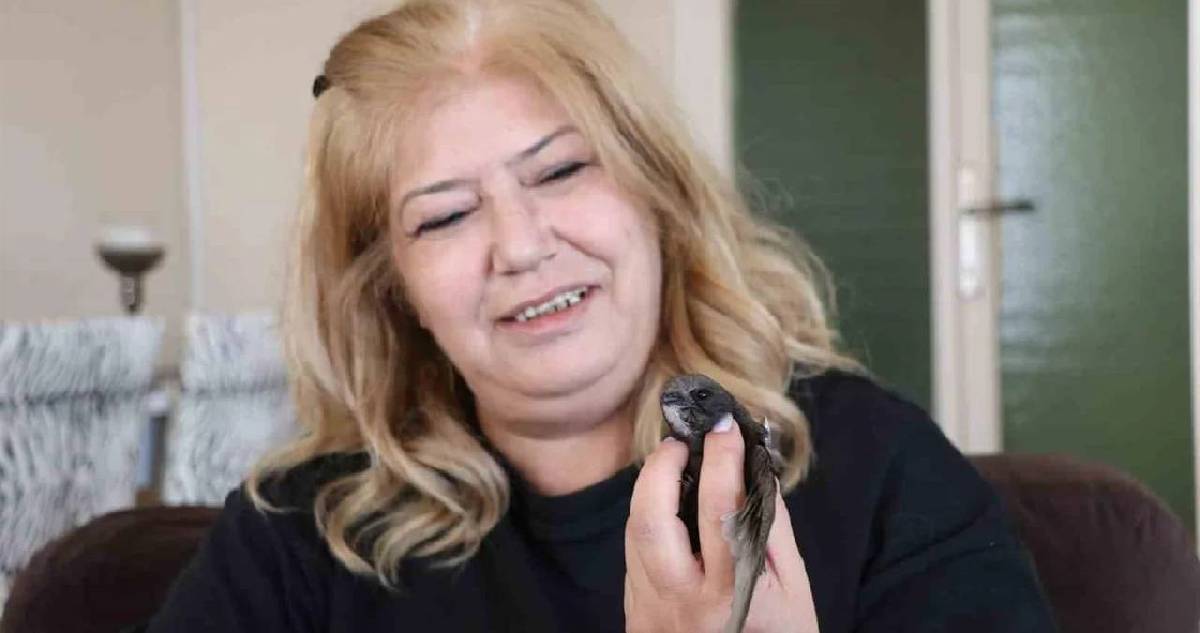 Apartman boşluğunda buldu, gözü gibi baktı: Tedavisi tamamlanınca doğaya salındı