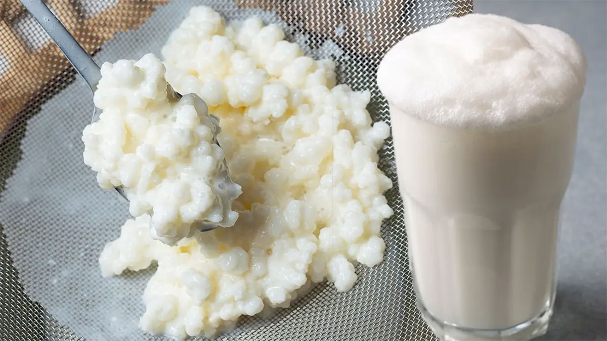 Ayran ve kefir üretiminde 5 yılın zirvesi