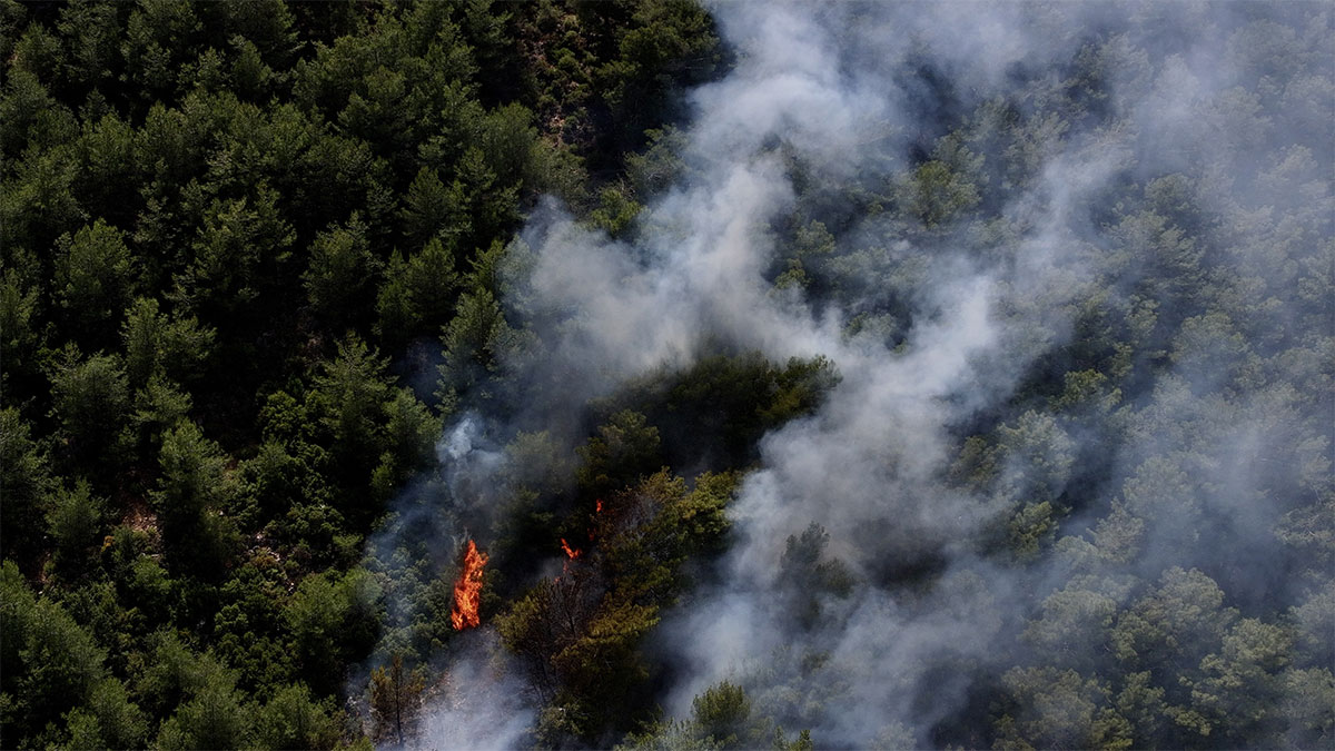 Fethiye'de orman yangını! Havadan ve karadan müdahale sürüyor