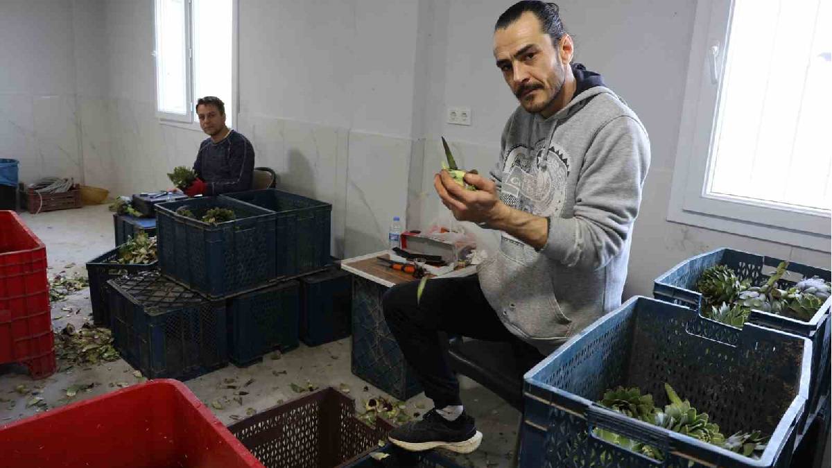 Sarraf altını onlar bıçağı işliyor! Yeşil elmas mesaisinin getirisi asgari ücreti 4’e katlıyor