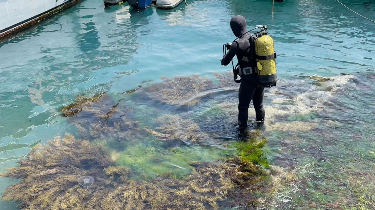 İstanbul’da denize dalan kişi kayboldu: 12 saattir aranıyor