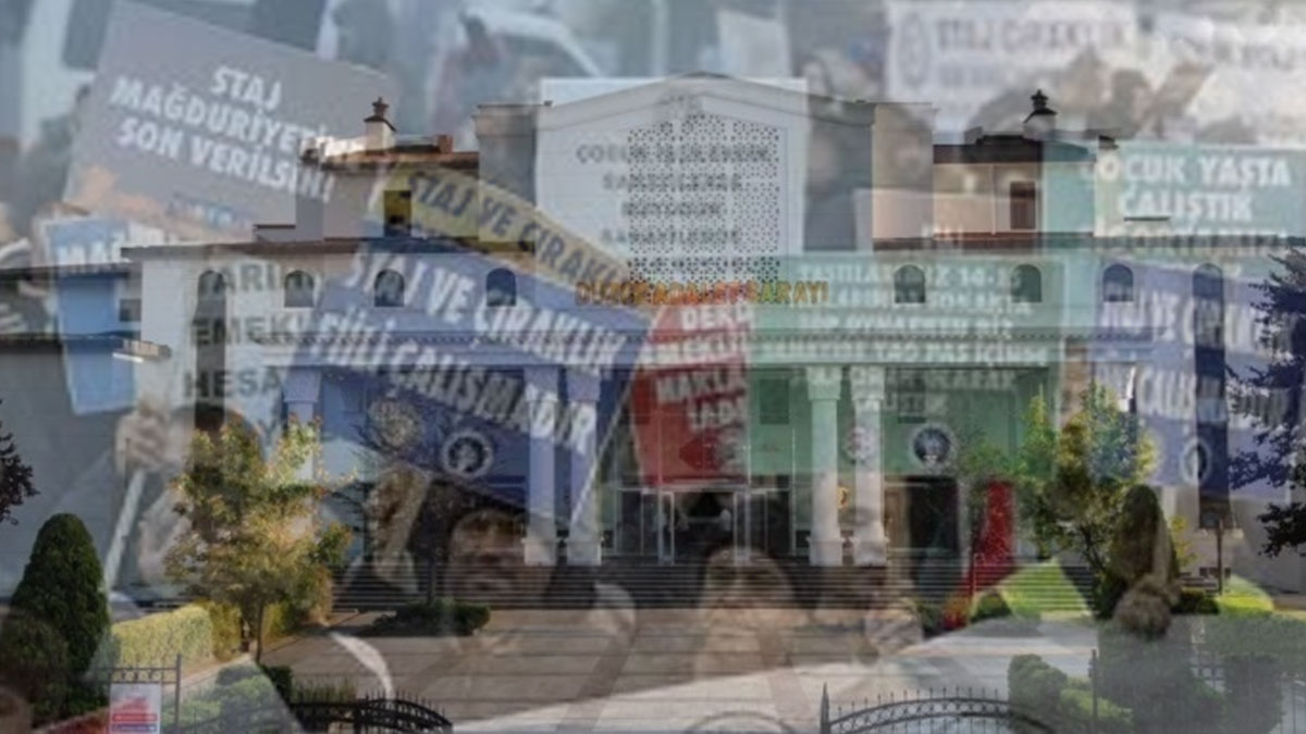 Düzce'de stajyer dolandırıcılığı: 12 kişi gözaltına alındı