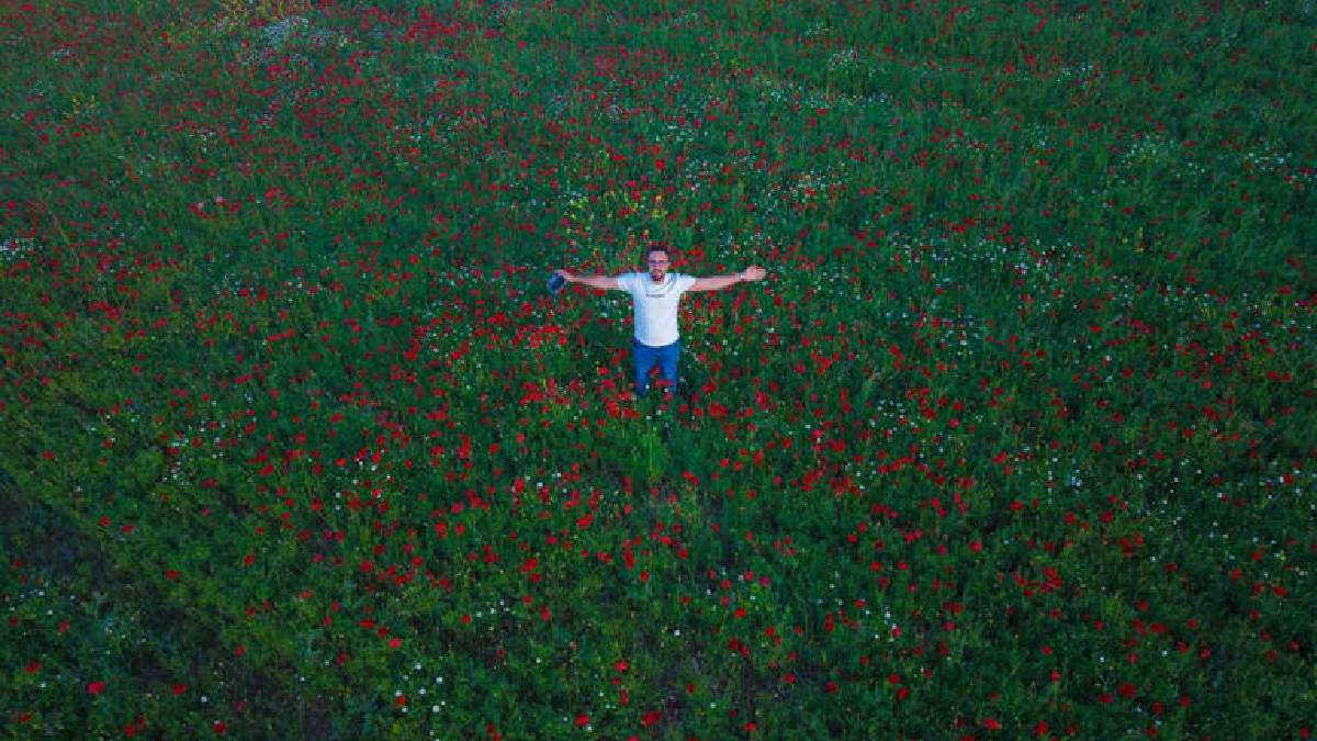 Bahar tarlaları kırmızıya bürüdü! Mercimek tarlası değil kartpostal sanki