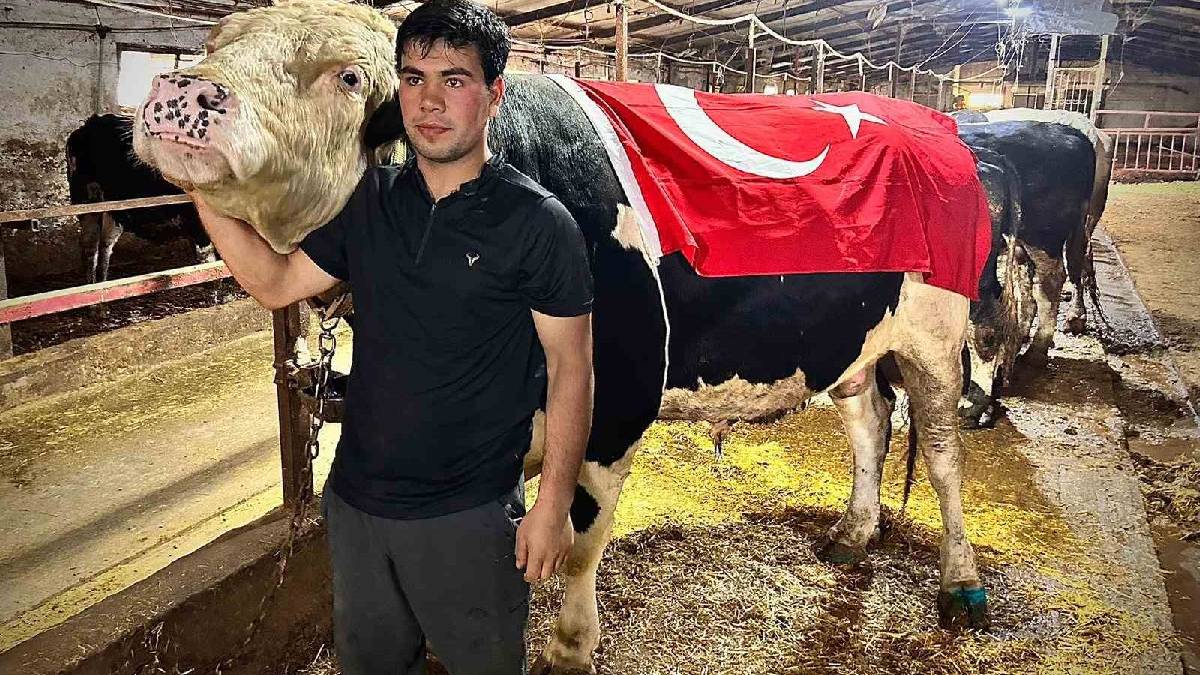 1.2 tonluk Ankara Paşa’sı! 650.000 TL’ye satıldı