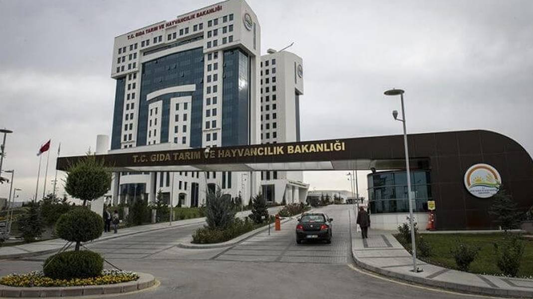 Tarım ve Orman Bakanlığı'ndan yeni gıda yönetmeliği: 189 bileşene onay, 32 gıdaya engel