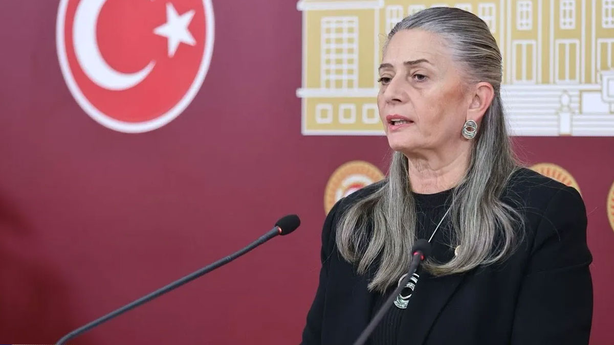 CHP’li Suiçmez’den “orman yağması” çıkışı: Bu bir ekolojik yıkımdır