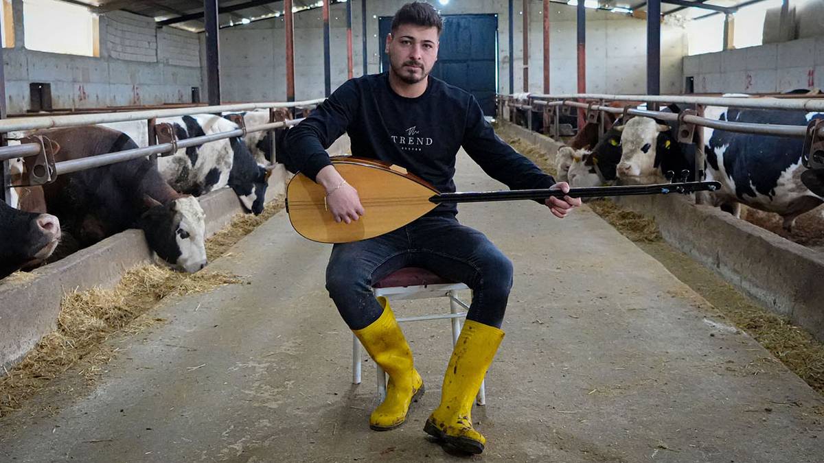 Ankara’nın besicisi de başka oluyor! Kurbanlıklara saz çalıyor, türküyle yağlarını eritiyor