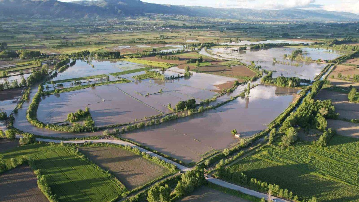 Tokat’ta Yeşilırmak taştı, tarım arazileri sular altında kaldı