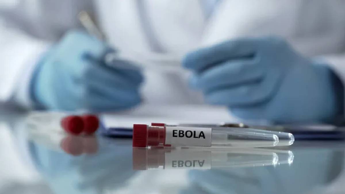 Ebola salgını için kritik çağrı: Yabani hayvan temasına dikkat!
