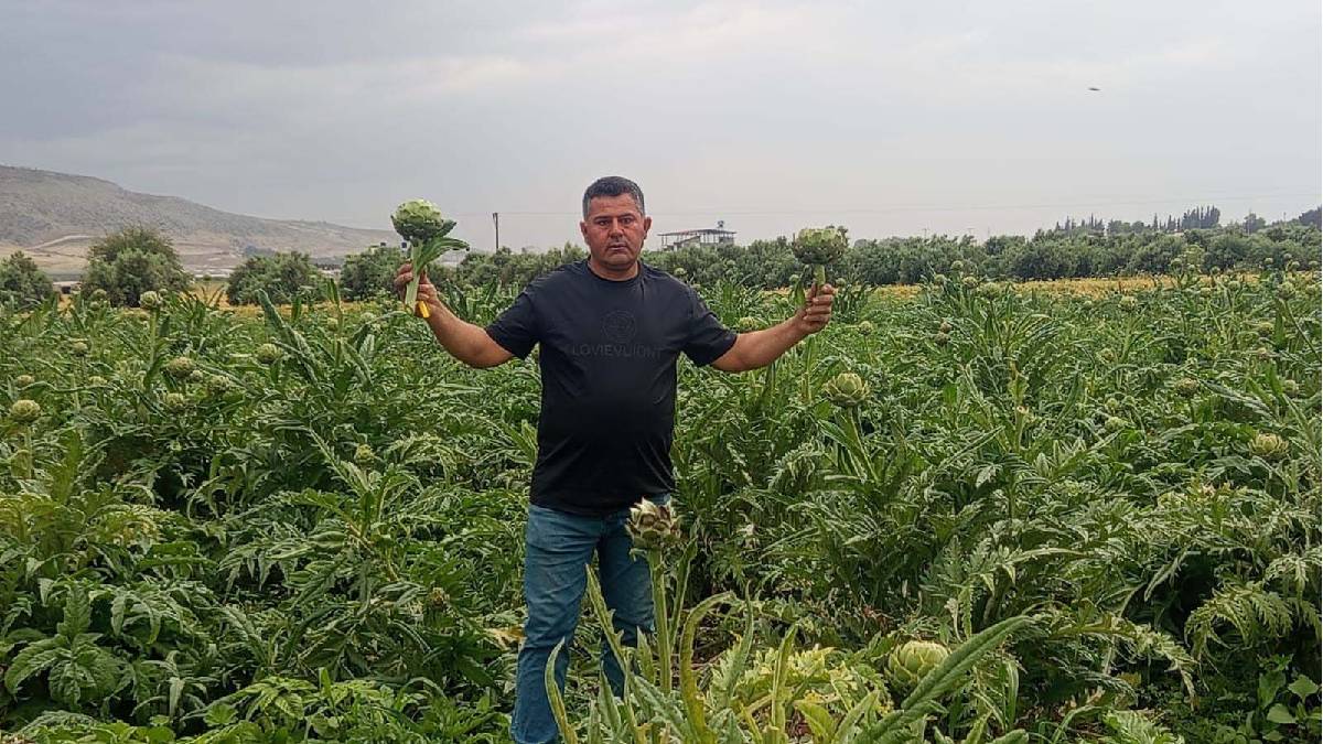 Kıbrıs’ta görüp Hatay’a getirdi! 30 dönümde üretiyor, tanesini 40 TL’ye satıyor