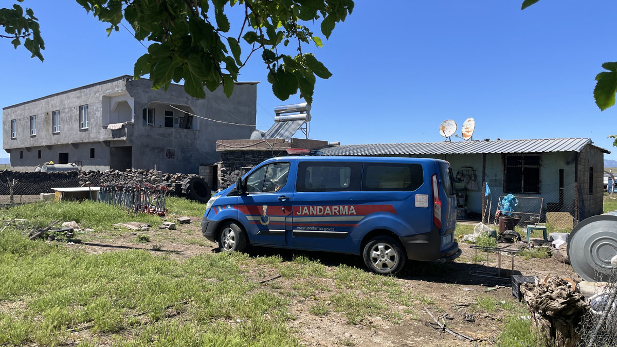 Şanlıurfa'da yılan paniği: Tüfekten çıkan saçmalar 5 kişiye isabet etti