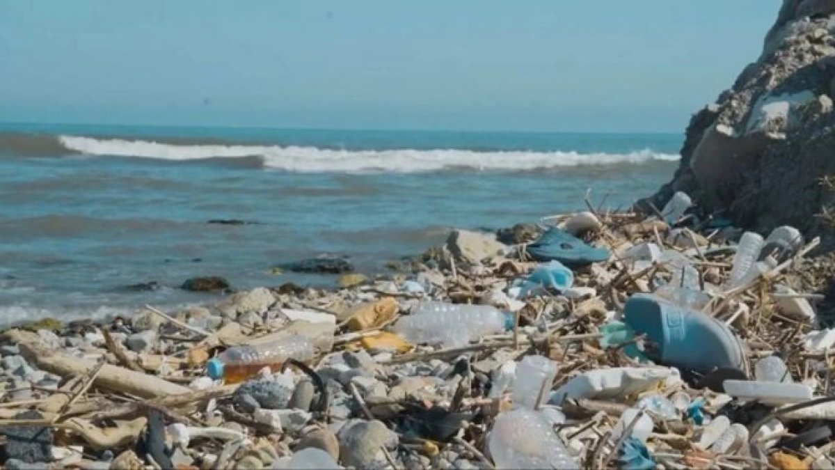 60 yıllık plastik kronolojisi: Marmara'da 2000’den sonra kirlilik 3 katına çıktı