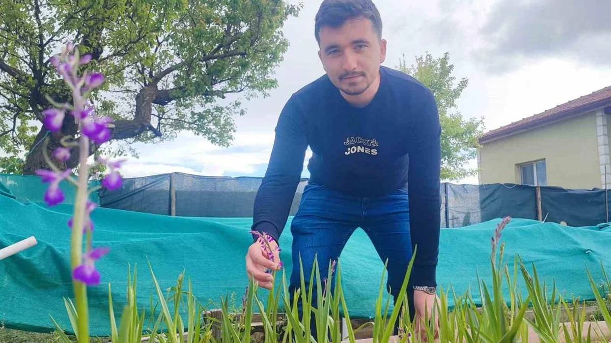 ‘Yozgat’ta olmaz’ denilen ürünü ekti başarıya ulaştı! 26 yaşında köyünü üretim üssü yapacak