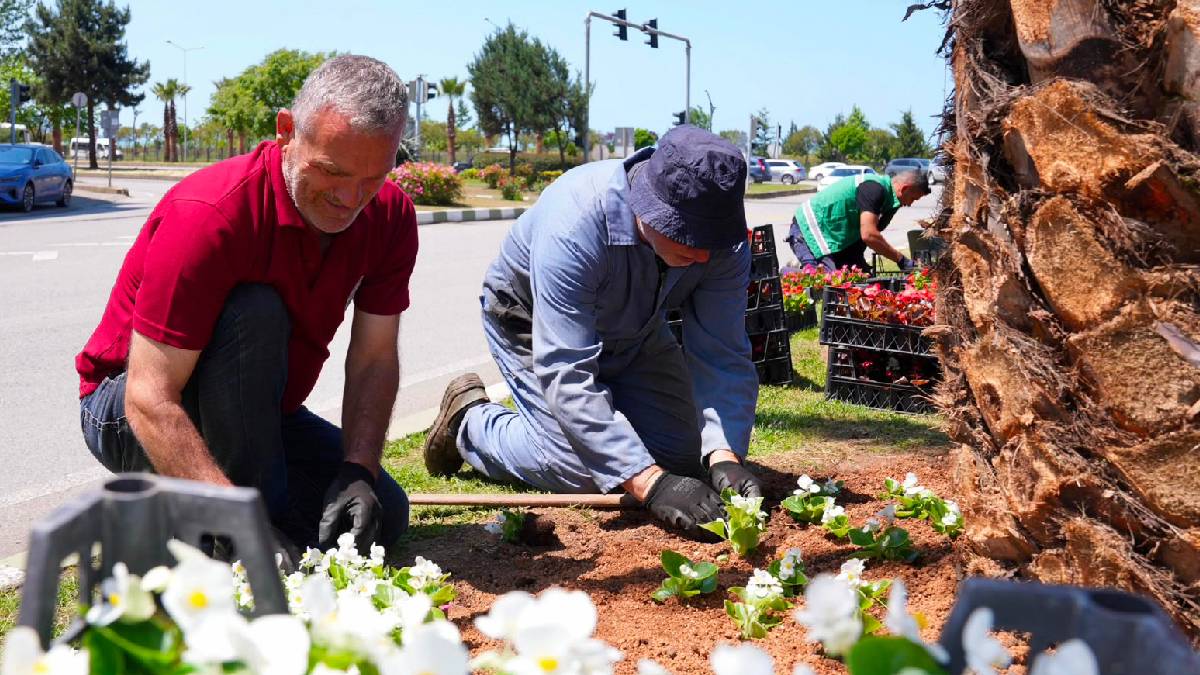 Park ve Bahçeler Müdürlüğü’nden yaz mesaisi