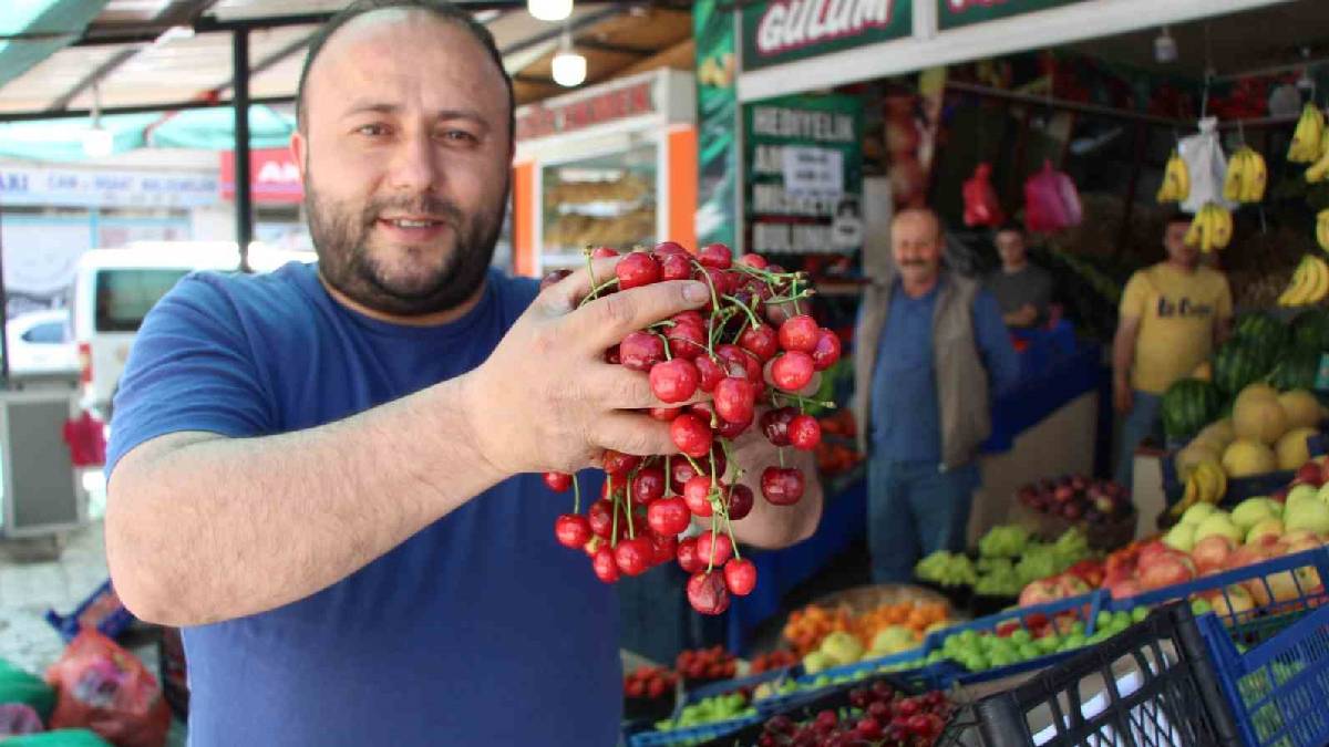 Geçen yıl hasret kalmıştık bu yıl tezgahı şenlendirdi! Amasya kirazı 50-100 TL’den satışta