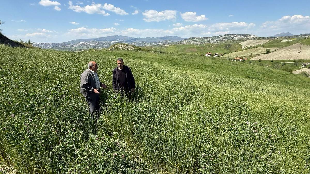 Büyükşehir’in toprakla buluşan tohumları yeşerdi