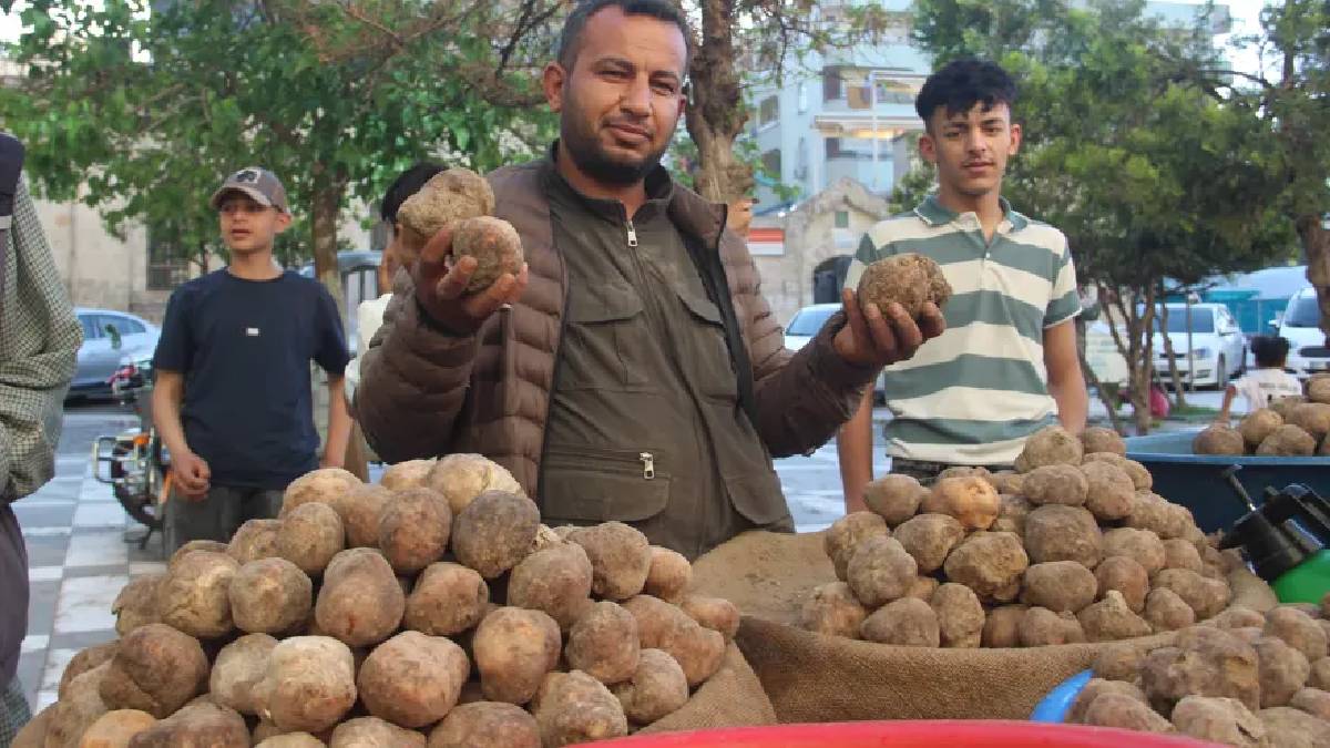 Yılın sadece 2 ayı bulunuyor! Fiyatı 2.000 TL’ye çıksa da talebi fazla