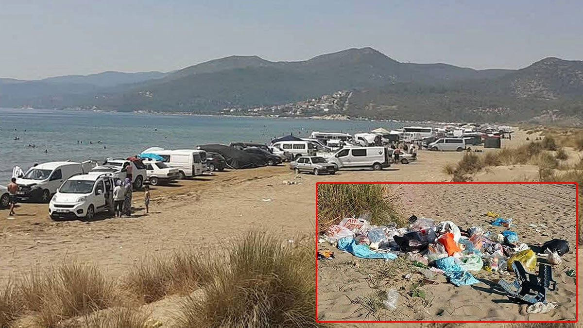 Cennet gibi sahili otoparka çevirdiler: Pamucak'ta ekolojik yıkım yaşanıyor