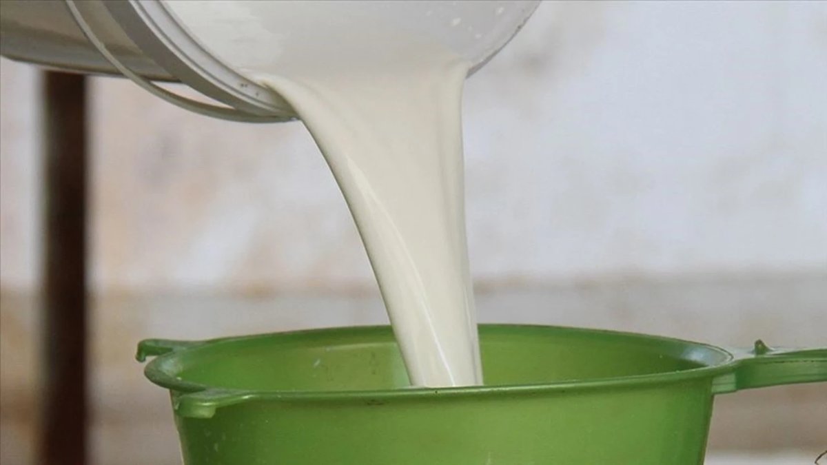 Çiğ sütün üretim maliyeti belli oldu