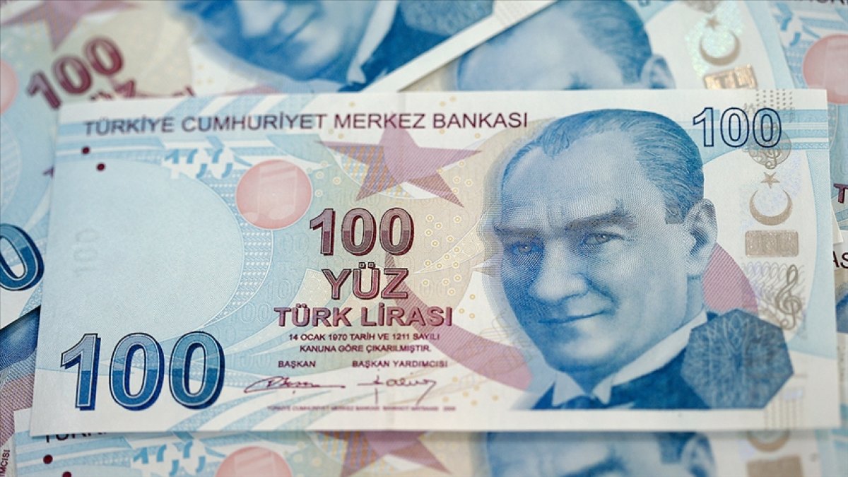 TL'nin reel değeri mayısta sınırlı geriledi