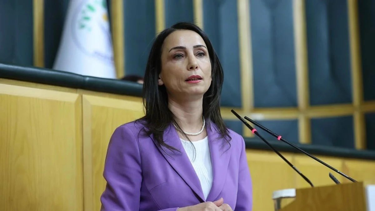 Hatimoğulları'ndan 'CHP' açıklaması: Siyaset yargı eliyle yeniden mi dizayn edilecek?