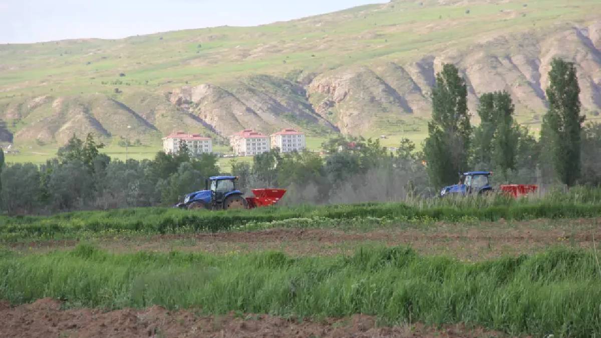 15 bin dekara 3.750 tohum ekildi: 2026 hasadında 75.000 ton ürün bekleniyor