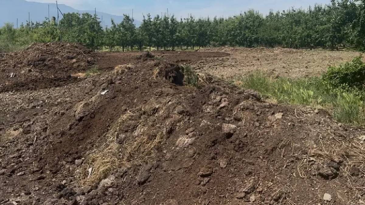 Çiftçinin yeni tercihi oldu! 6 tonu yalnızca 3.000