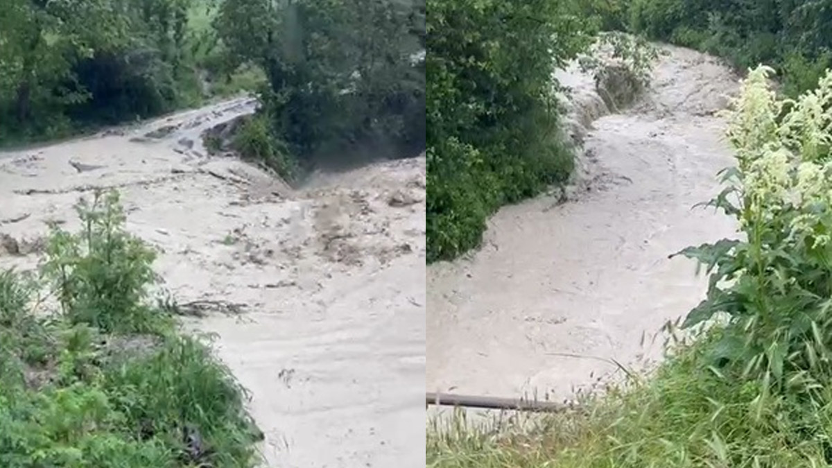 Bolu'da sağanak sonrası dereler taştı: Tarım arazileri ve yollar sular altında kaldı