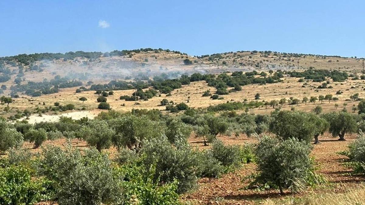 Kilis'te ormanlık alanlara giriş yasaklandı