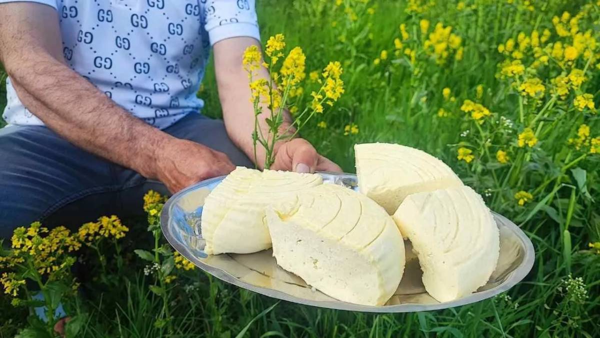2.100 rakımda ‘Dede mirası’ yaşatılıyor! Çileli de olsa 3 ay boyunca bırakmıyorlar