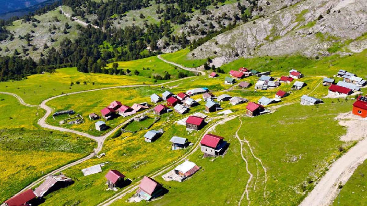 Sarı çiçeklere bürünen çayırları, buz gibi akan çeşmeleri... Gümüşhane’nin 950 rakımda masal diyarı