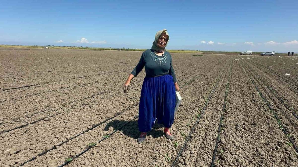 70 yaşında belinde 8 platinle tarlada ter döküyor!