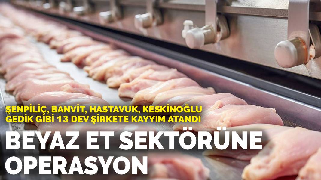 Beyaz et sektörüne 8 ilde operasyon: Şen Piliç, Banvit gibi 13 büyük şirkete denetim kayyımı atandı