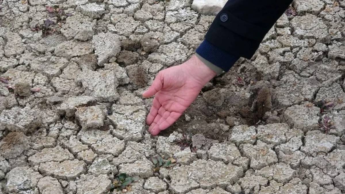 Son yağışlar yeterli olmadı: İki il için kuraklık tehdidi devam ediyor