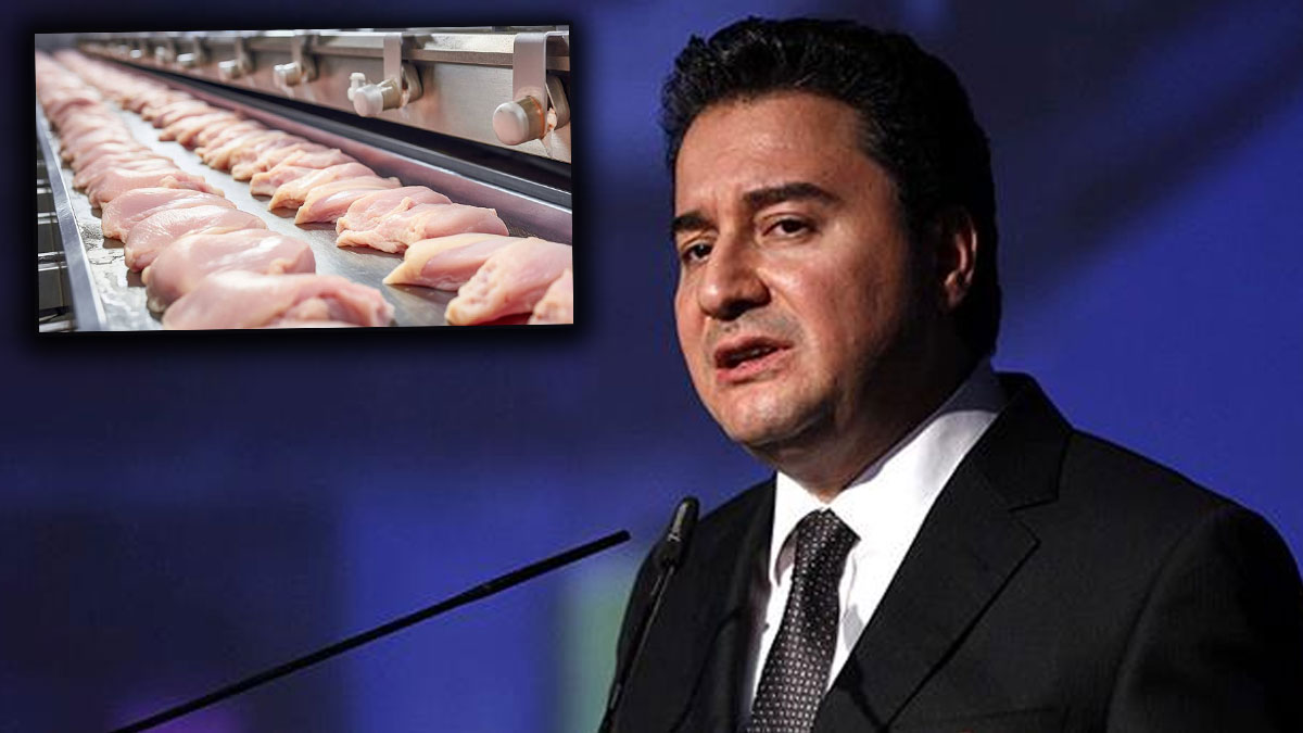 Babacan’dan tavuk firmalarına operasyon tepkisi: Sopa gösterip “tepenize çökeriz” diyorlar