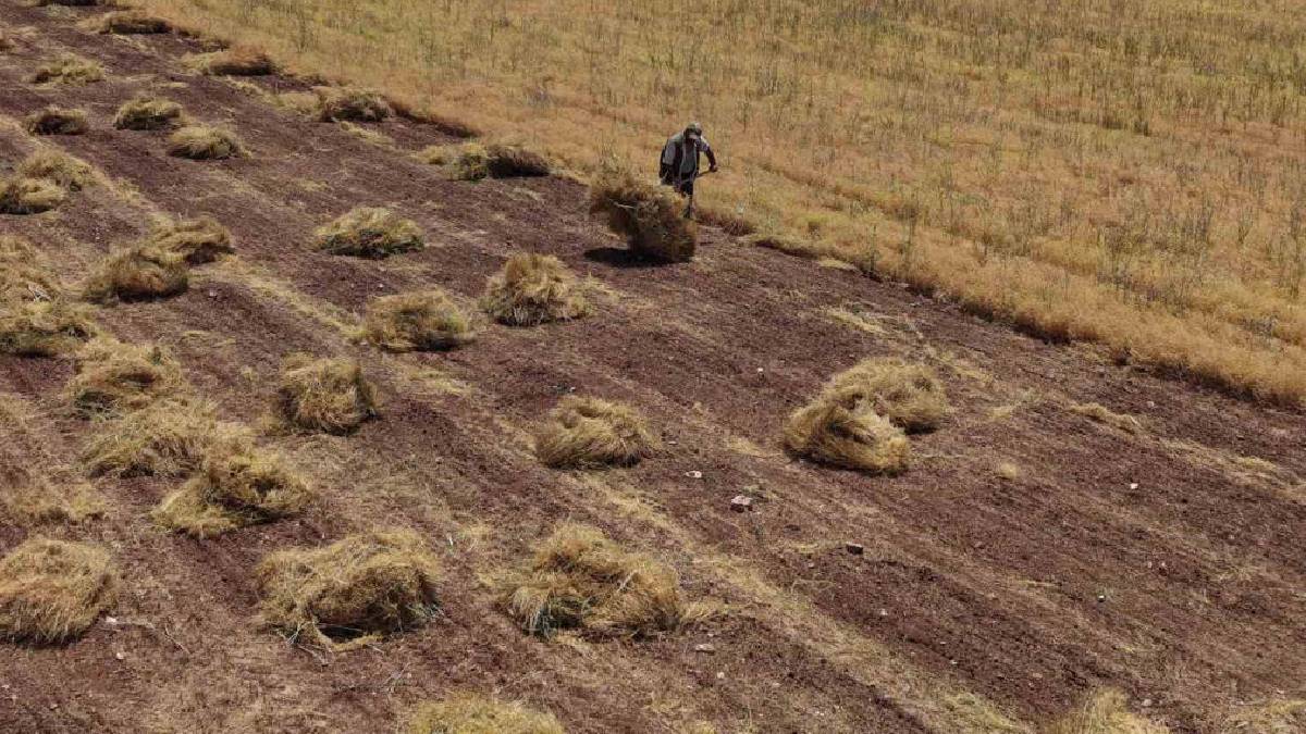 Sıcaklık 40 dereceyi geçiyor! 12 saatlik zorlu mesai başladı