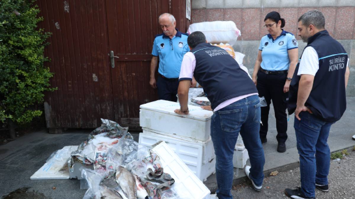 Antalya Otogarı’nda balık operasyonu: Yasa dışı avlanan ve uygunsuz taşınan balıklar ele geçirildi
